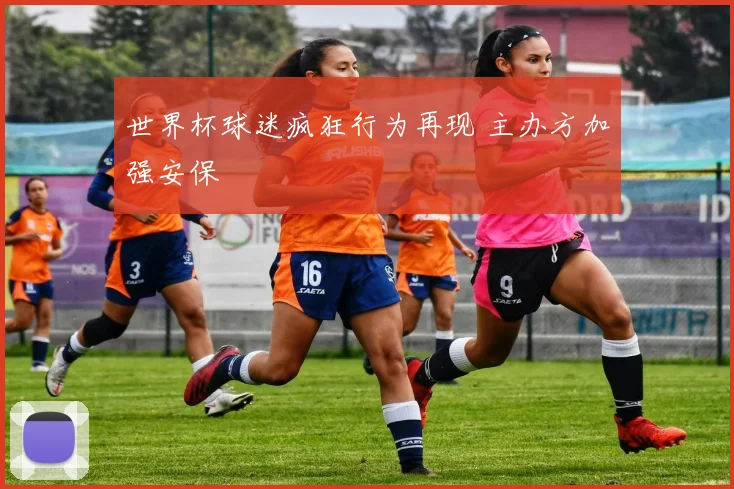 世界杯球迷疯狂行为再现 主办方加强安保