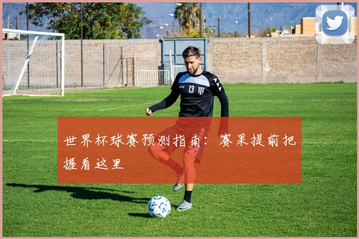 世界杯球赛预测指南:赛果提前把握看这里