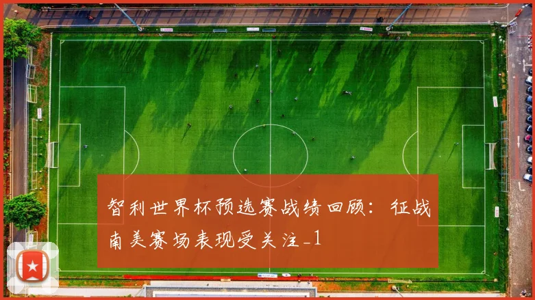 智利世界杯预选赛战绩回顾:征战南美赛场表现受关注_1