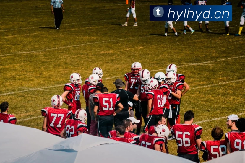 App Interface Preview